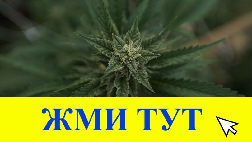 Купить наркотики в Бикине